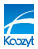 koozyt